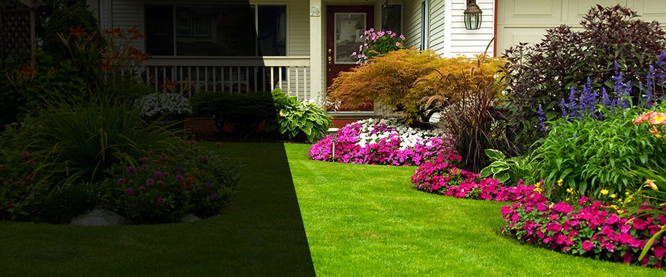 Toney Landscapers