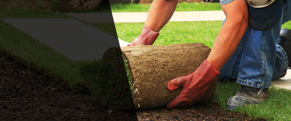 Toney Landscapers